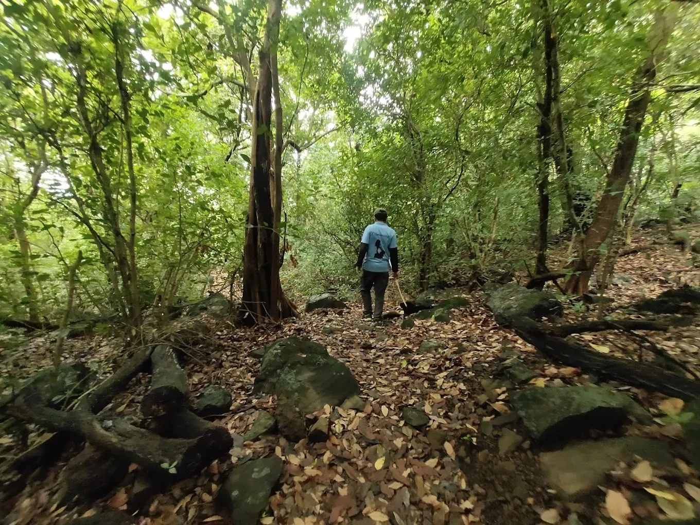 Into the Wild: Exploring the Andharban Trek